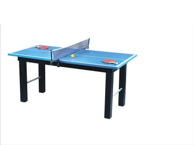 PING-PONG TABLE - HP1001715