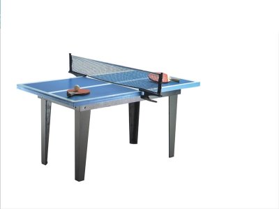 PING-PONG TABLE - HP1001716