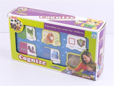 EDUCATIONAL TOYS (COGNIZE) - HP1005948