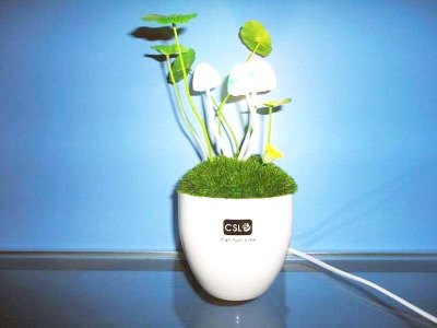 B/O AGARICUS LAMP GREEN/BLUE - HP1014071