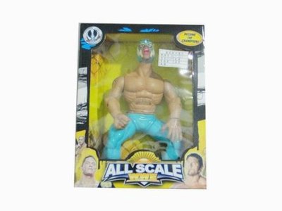 WRESTLER W/IC  - HP1025791
