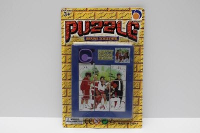 EVA PUZZLE 6ASST - HP1038551