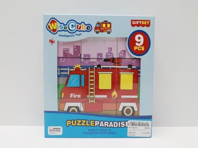 INTELLIGENCE PUZZLE 6ASST - HP1040393