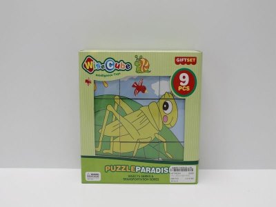 INTELLIGENCE PUZZLE 6ASST  - HP1040394