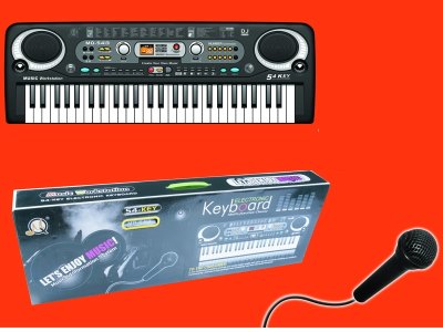 54 KEYS ELECTRONIC ORGAN W/VOICE TUBE - HP1056058