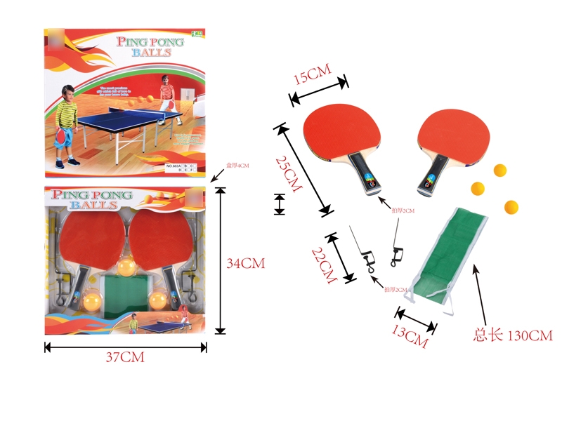 TABLE TENNIS BATS SET W/NET - HP1076694
