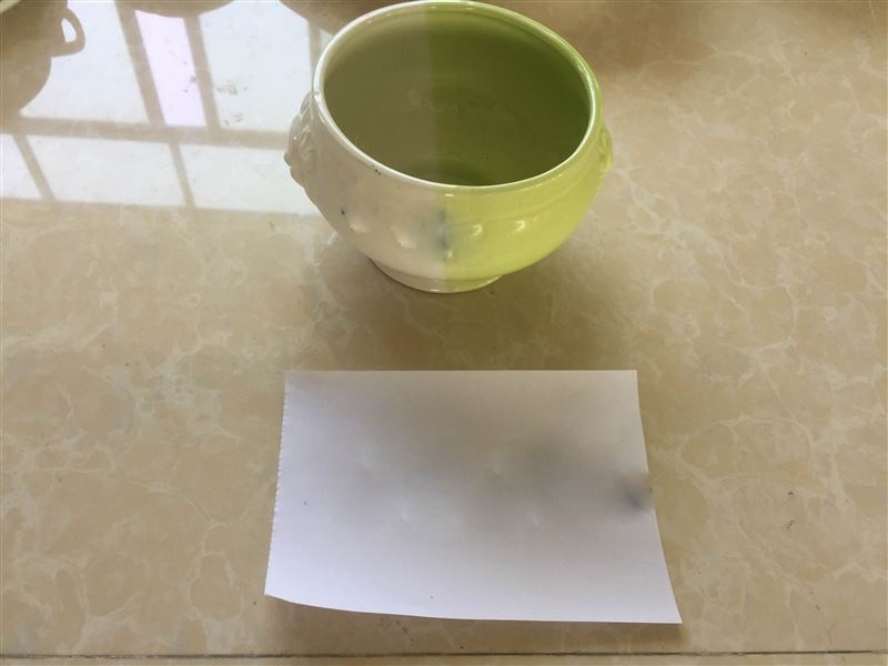 SOUP BOWL - HP1094370