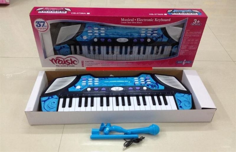 37KEY ELECTRONIC ORGAN - HP1095823