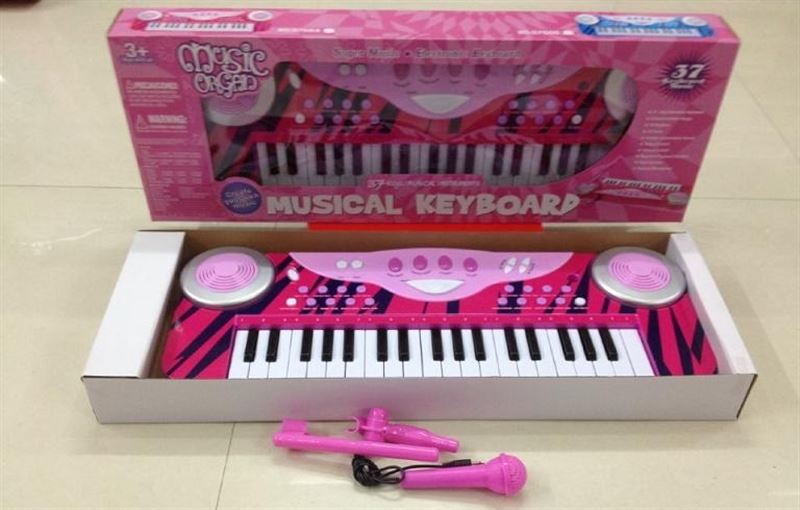 37KEY ELECTRONIC ORGAN - HP1095824