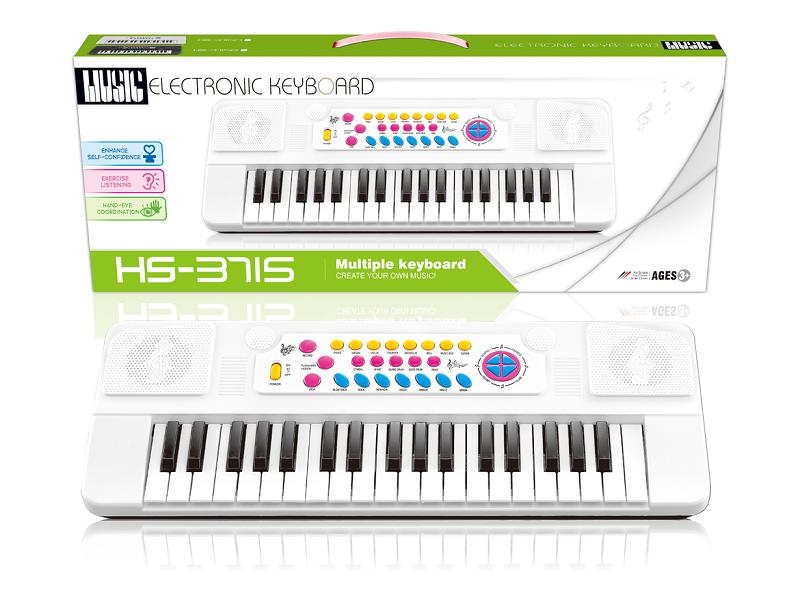 37KEY ELECTRONIC ORGAN - HP1095847