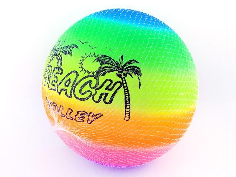 9 INCH VOLLEYBALL - HP1103465