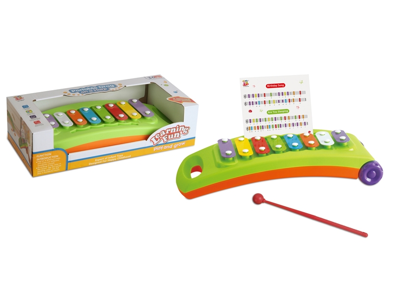 MUSICAL XYLOPHONE - HP1108166
