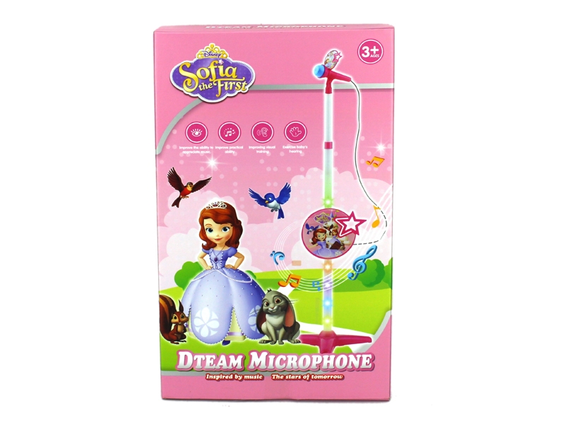 MICROPHONE W/LIGHT & SOUND - HP1109256