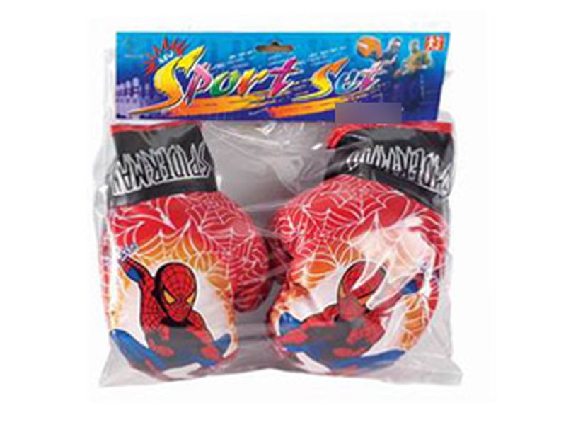 BOXING SET - HP1112684