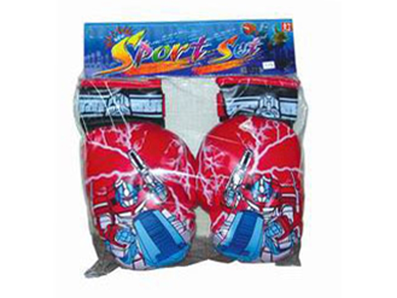 BOXING SET - HP1112771