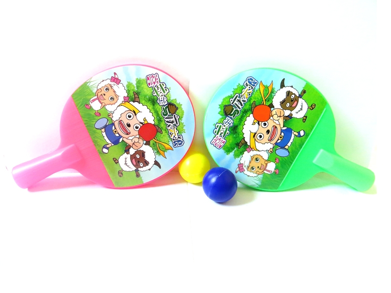 PINGPONG BAT - HP1113184