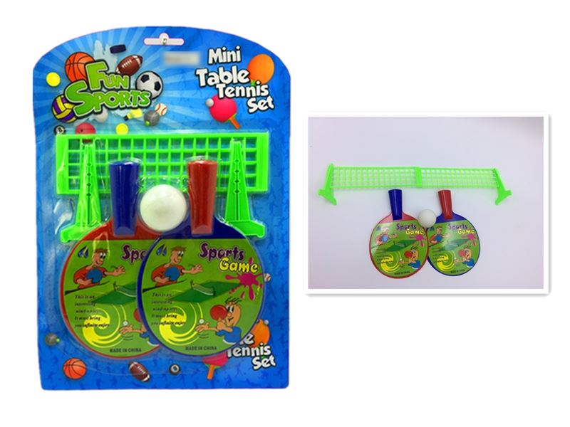 PINGPONG BAT - HP1113256