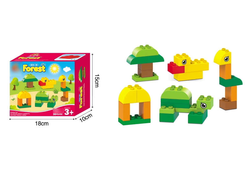 BUILDING BLOCKS 30PCS - HP1113565