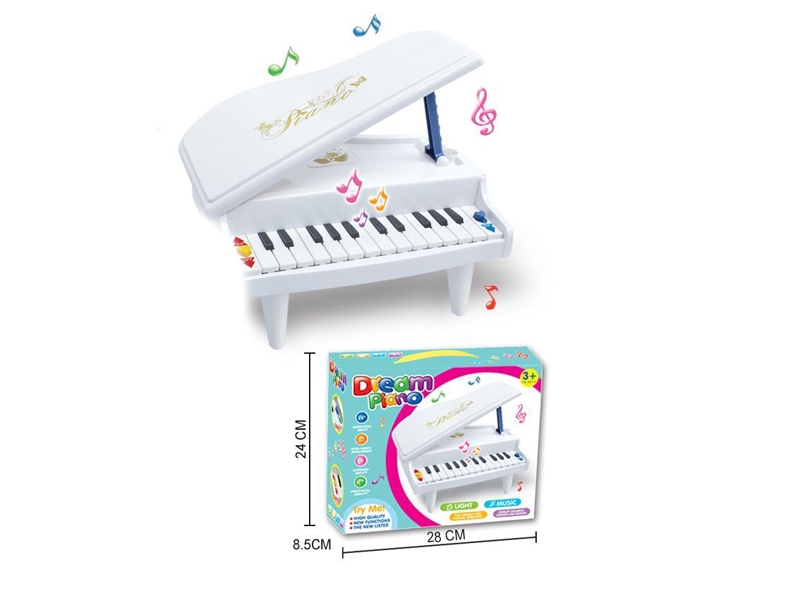 ELECTRONIC ORGAN W/LIGHT & MUSIC（2 COLORS） - HP1118613