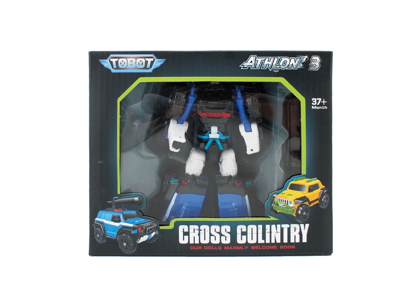 TRANSFORMATIVE CAR 8ASST - HP1121350