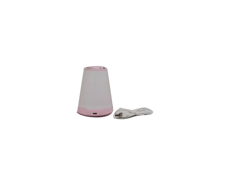 BLUETOOTH SPEAKER W/LIGHT & USB - HP1133797