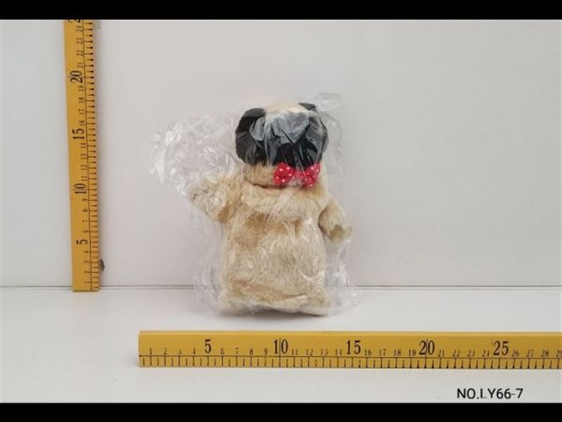 B/O RECORDING DOG - HP1134019