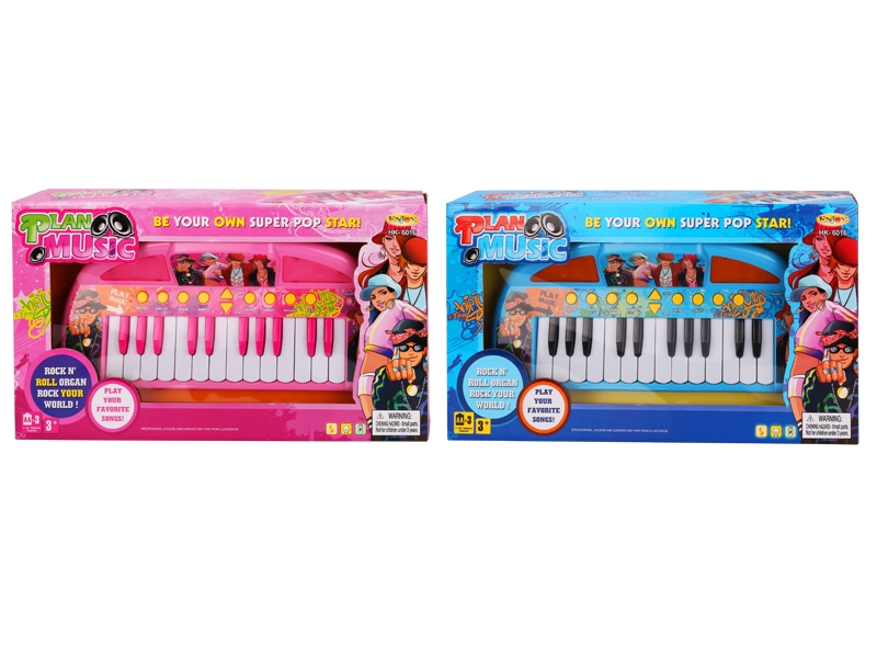 24 KEYS ELECTRONIC ORGAN - HP1138217