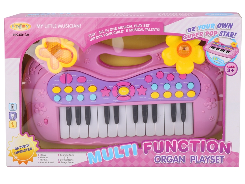 24 KEYS ELECTRONIC ORGAN - HP1138218