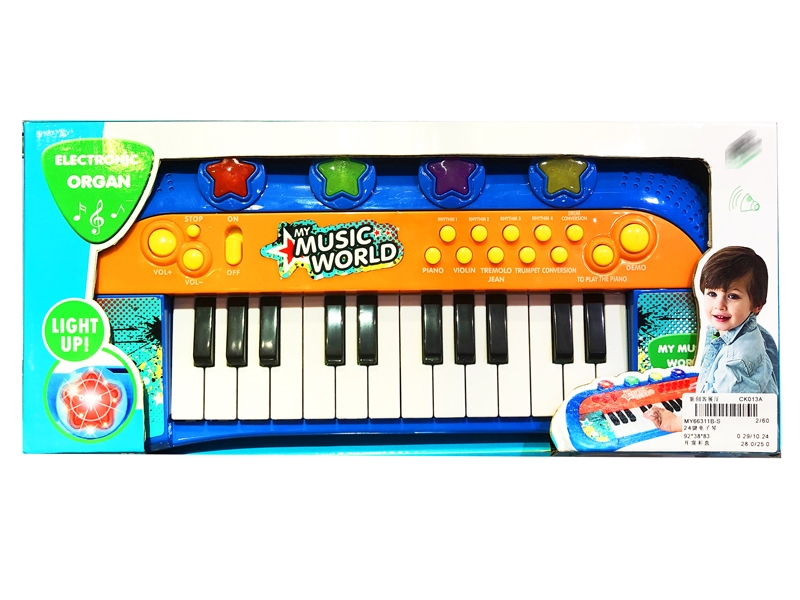 24 KEYS ELECTRONIC ORGAN - HP1138947