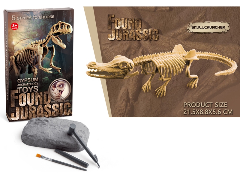 GYPSUM ARCHAEOLOGY TOYS,5ASST - HP1158436