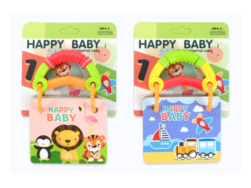 BABY STUDY CARDS 2 ASST. - HP1159332