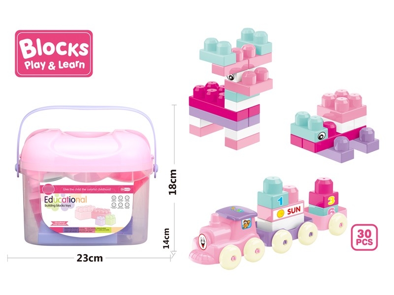 BUILDING BLOCKS 30PCS - HP1172665