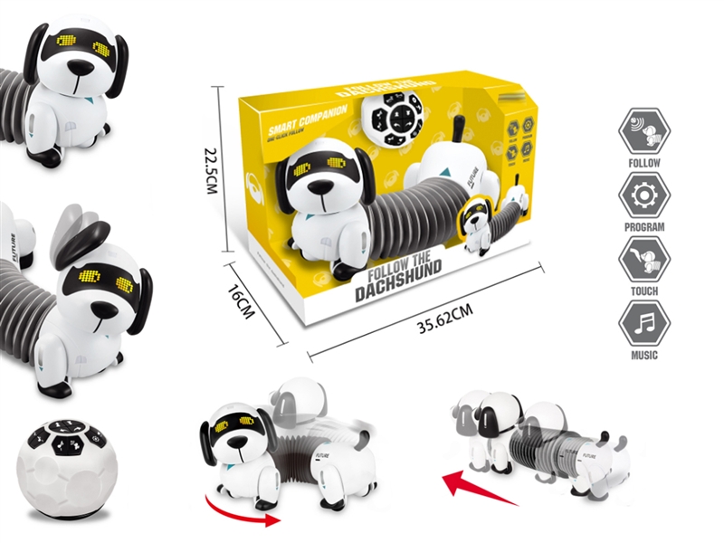 FOLLOW THE DACHSHUND - HP1191488