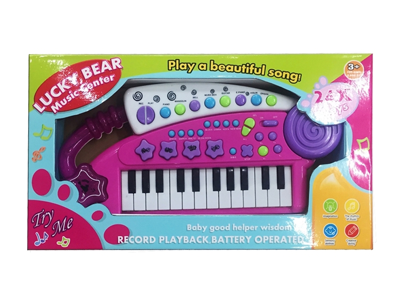 24 KEYS ELECTRONIC ORGAN - HP1195010