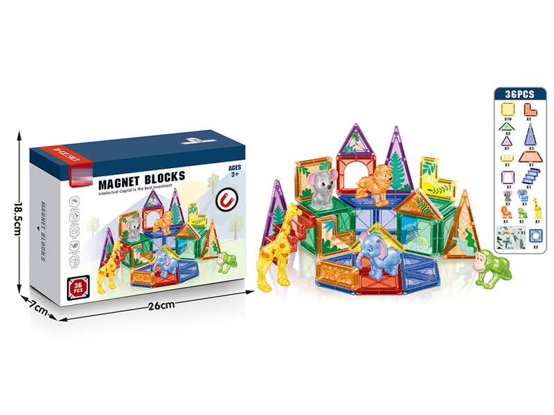 MAGNETIC BUILDING BLOCKS (36PCS) - HP1201006