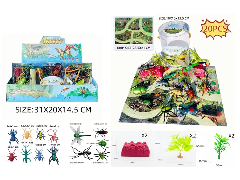 INSECT SET WITH MAP , 6PCS/DISPLAY BOX - HP1231127