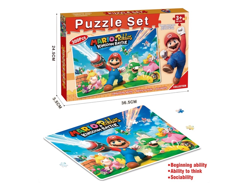 PUZZLE GAME 300PCS - HP1237966