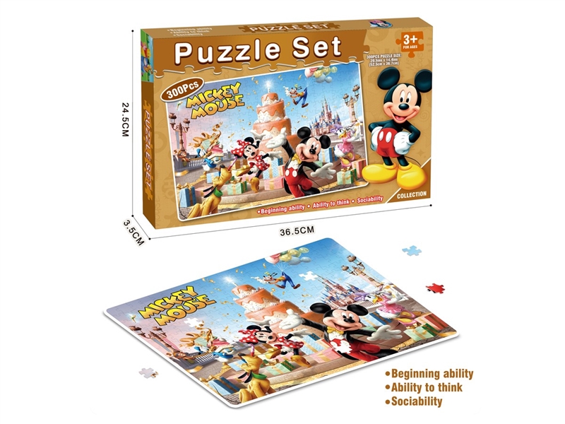PUZZLE GAME 300PCS - HP1237967