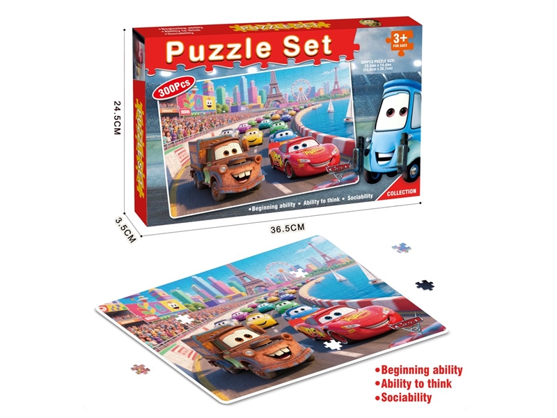 PUZZLE GAME 300PCS - HP1237974