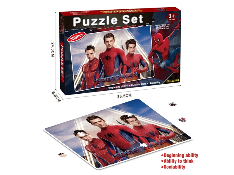 PUZZLE GAME 300PCS - HP1237978