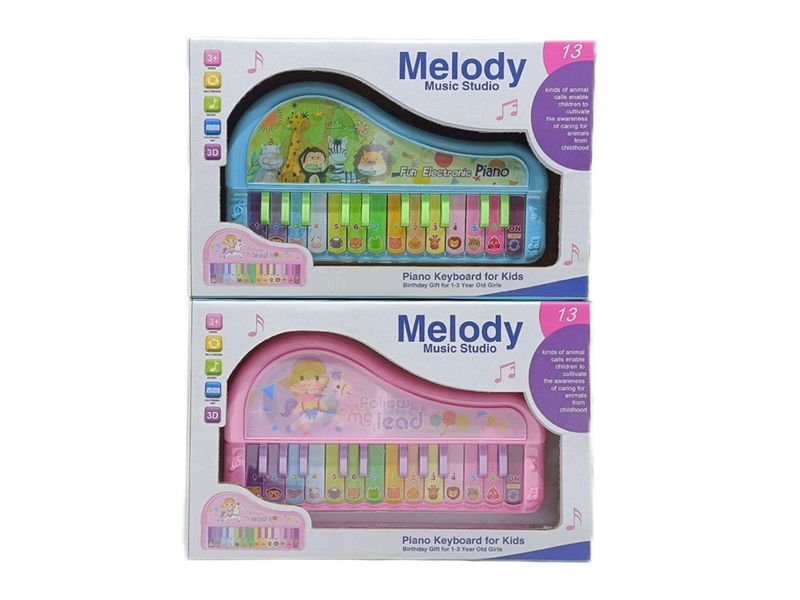 24 KEYS ELECTRONIC ORGAN - HP1242498