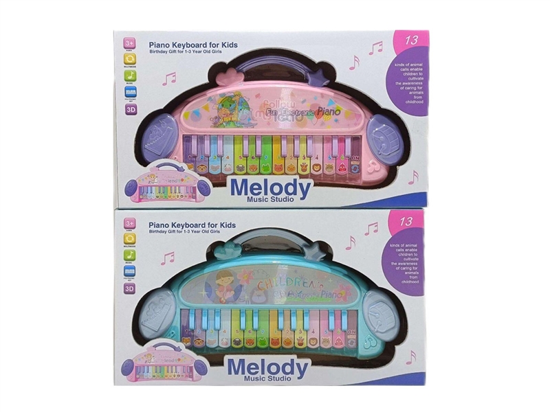 24 KEYS ELECTRONIC ORGAN - HP1242499