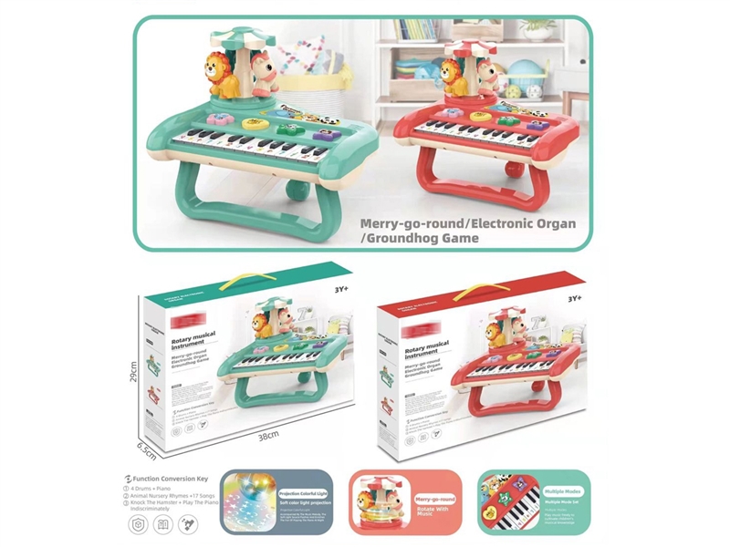 ELECTRONIC ORGAN - HP1243102