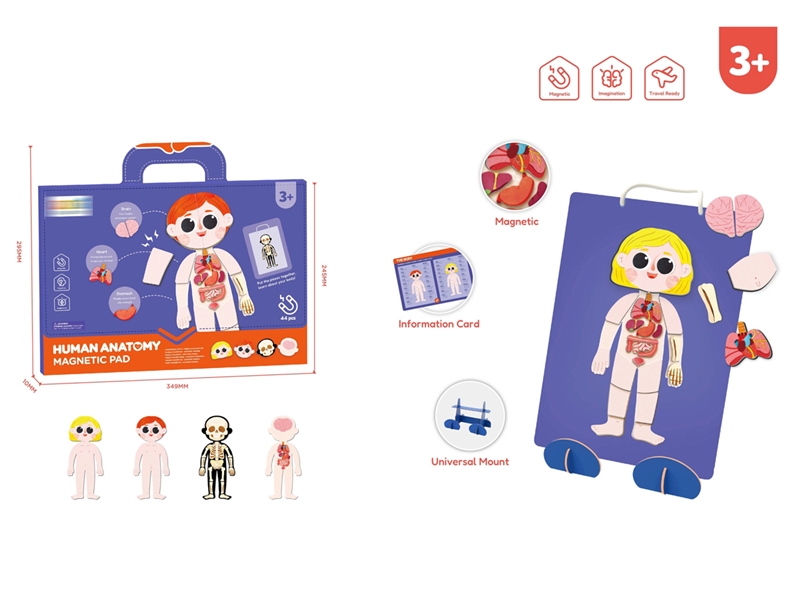 MAGNETIC PUZZLE - HUMAN BODY - HP1248200