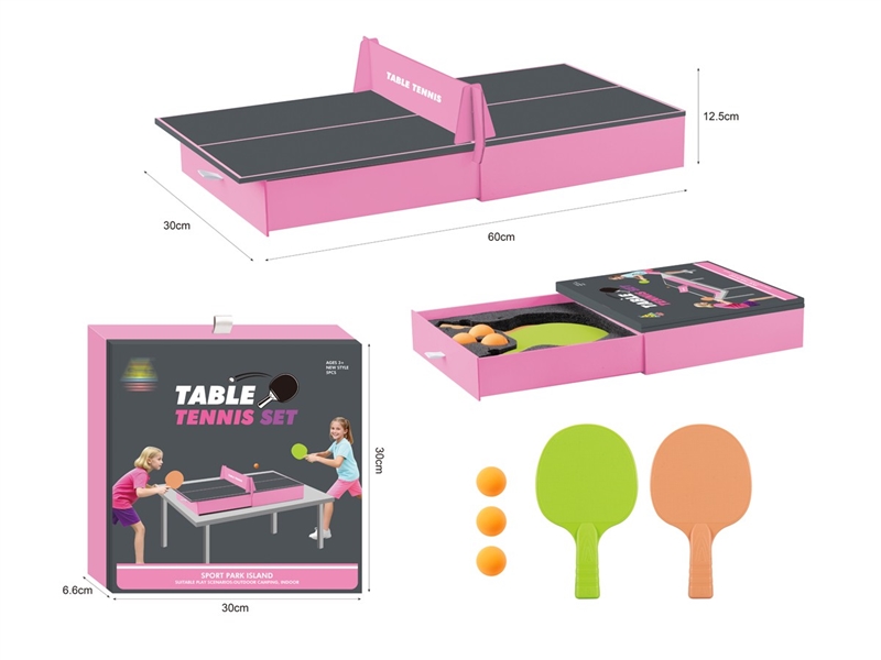 TABLE TENNIS SET - HP1251139
