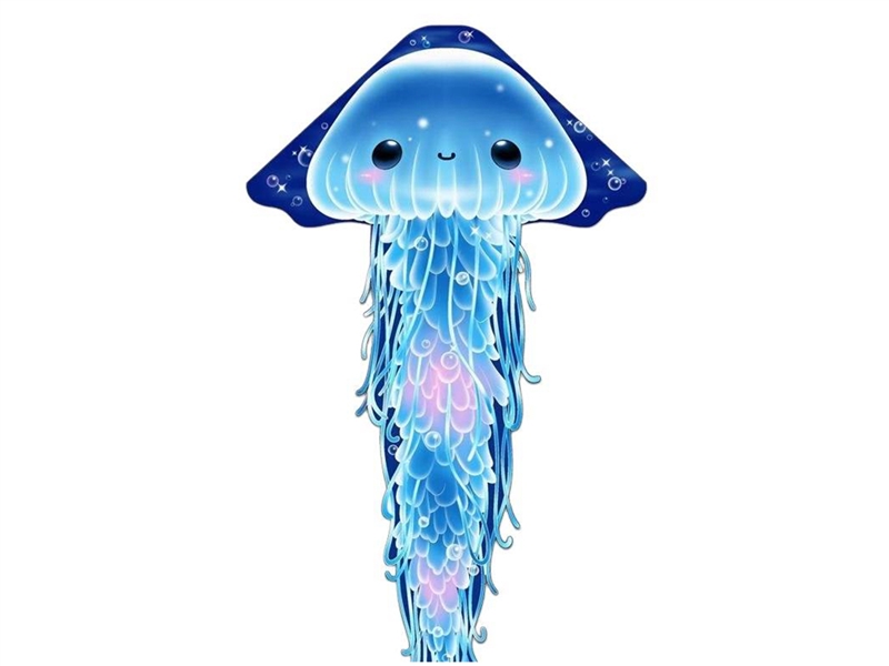 1.4M KITE - HP1252867