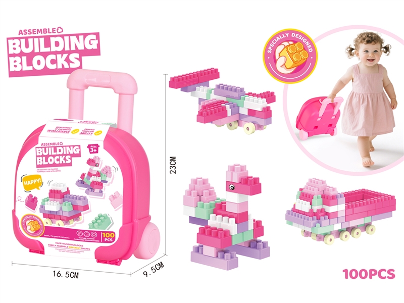 BUILDING BLOCKS（100PCS） - HP1254657