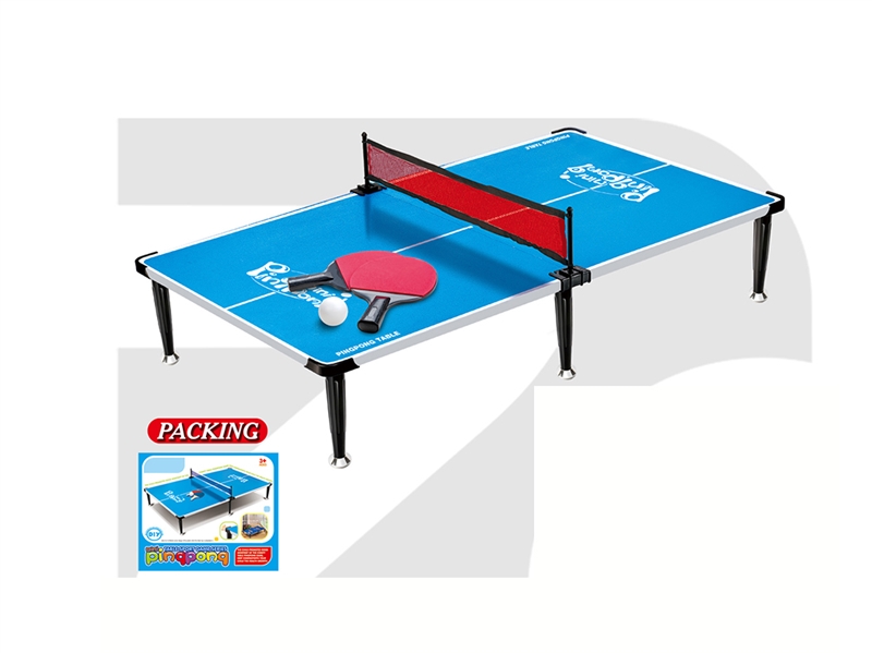 TABLE TENNIS SET - HP1262704