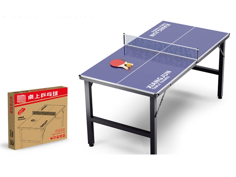 1.5M TABLE TENNIS SET - HP1263301