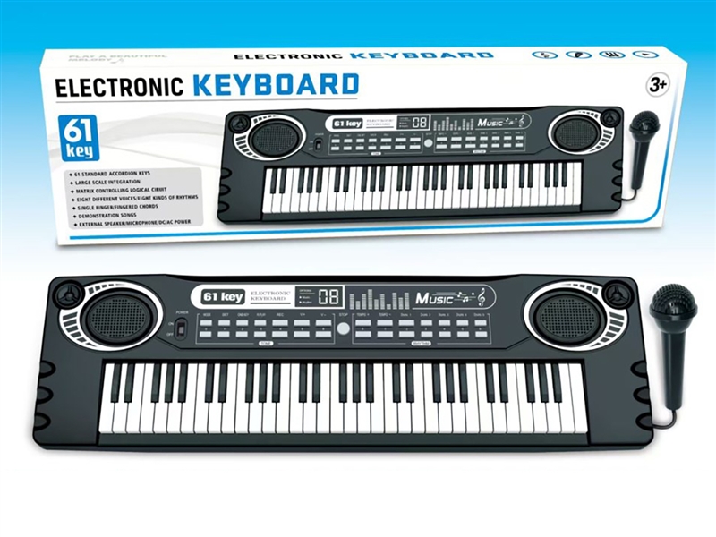 61 KEYS ELECTRONIC ORGAN W/MICROPHONE - HP1267934